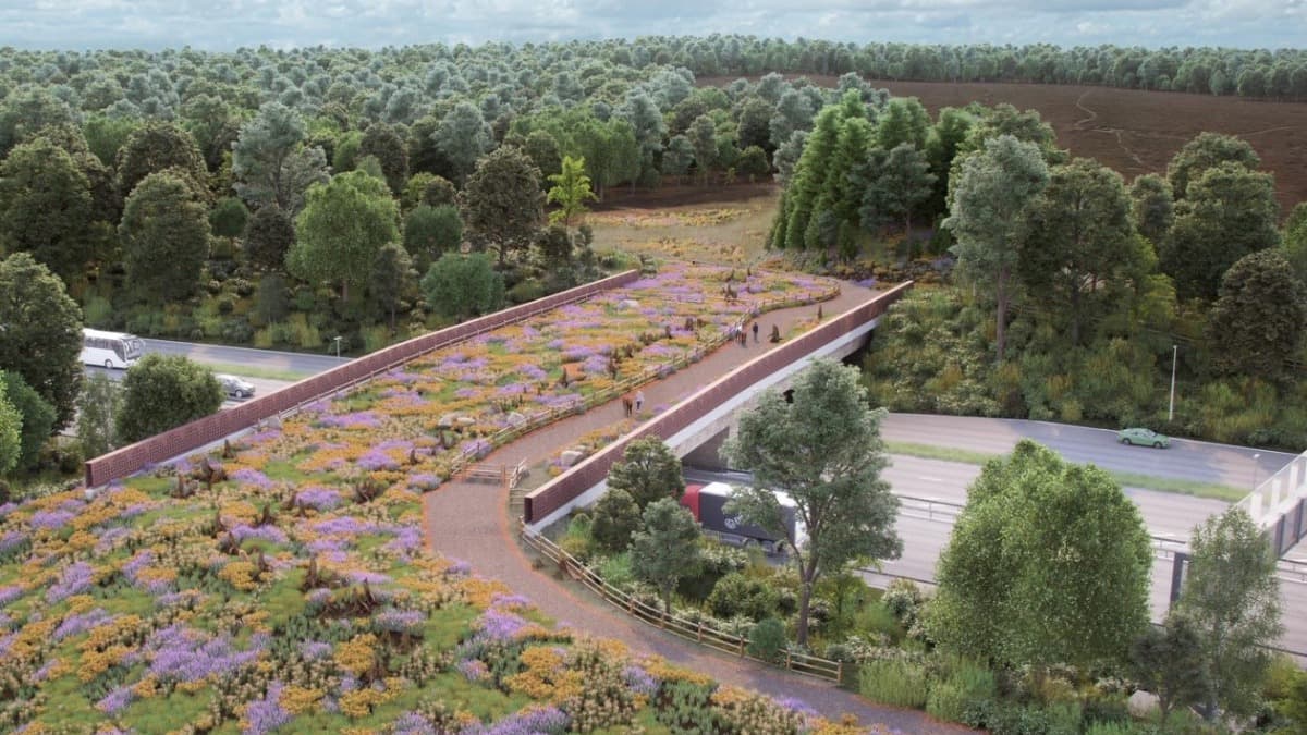 M25 and A3 upgrade at Wisley will include UK's first ever 'green' heathland bridge